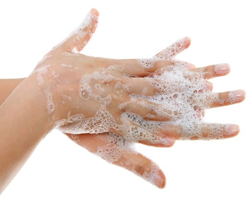 Hand Hygiene