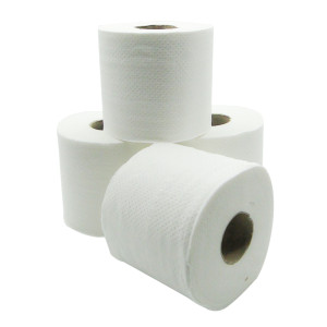 2 PLY TOILET TISSUE